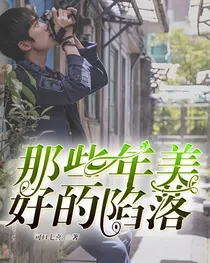 那些年美好的陷落.