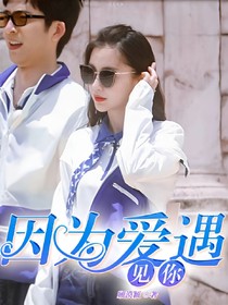 因为爱，遇见你