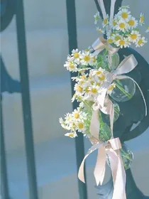花落微凉清幽梦——d173