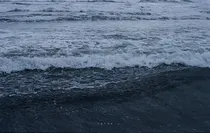 追逐海岸线