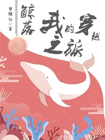 鲸落：我的穿越之旅
