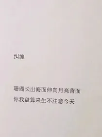 小荷清清：随笔录