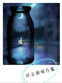 图片集册.