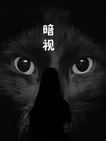 暗视