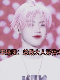王琳凯：总裁大人好体力
