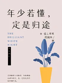 年少若懂，定是归途