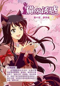 猫的诱惑。