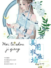 美图收集墙