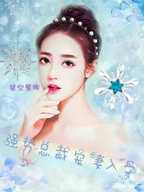 强势总裁宠妻入骨