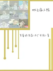 NPC之疯人院
