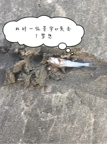 魔元异闻社（考试停更，考完就更，手稿有更新不慌）