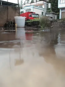 喜欢是多么可怜