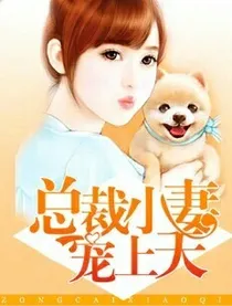 总裁小妻宠上天