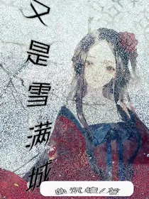 又是雪满城_d028