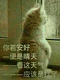 陆胤禛