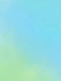 理意悸动.杂货铺