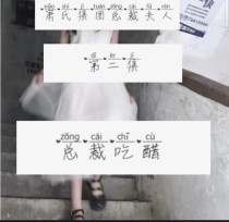 箫氏集团总裁夫人第二集