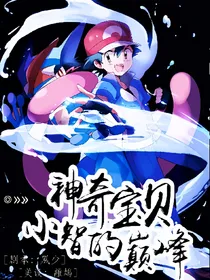 神奇宝贝小智的巅峰
