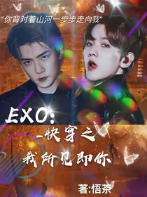 EXO-快穿之我所见即你