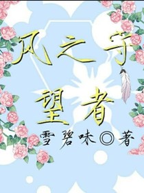 风之领望者