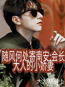 随风何处寄南安:会长大人的小娇妻