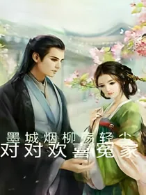 对对欢喜冤家