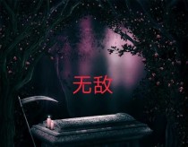 无敌一有苏名夜