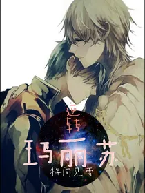 逆转玛丽苏