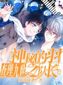 查理九世……神秘的羽之队长