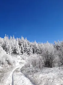 假面闺蜜霸道宠，韩姐，架子守住