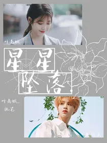 星星坠落.