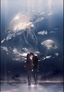 那年夏天的爱