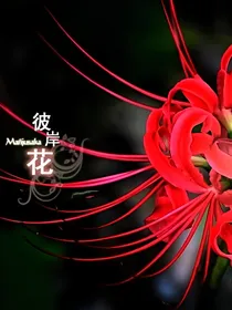 EB之谢彼岸