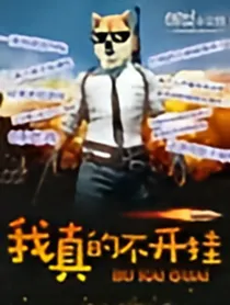 我真不开挂