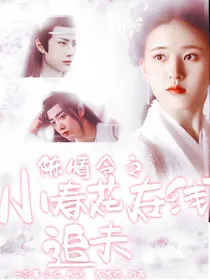 陈情令之小春花在线追夫