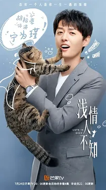 浅情人不知的小爱情