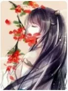 穿越古代去宫斗。