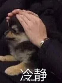 防弹聊天室