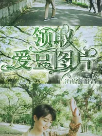 领取爱豆图片