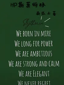 HP斯莱特林
