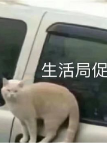 啥也不干~~