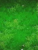 庆2陌玉