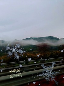 综影视之时间时空