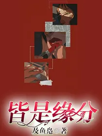 皆是缘分
