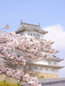 守若