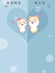 斗龙战士（校园恋爱）