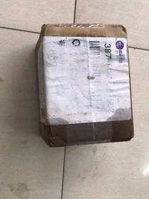活着的马