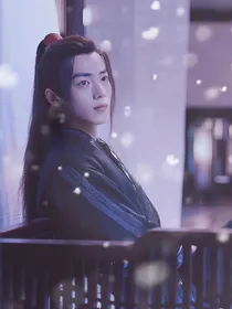 穿越之我是魏无羡