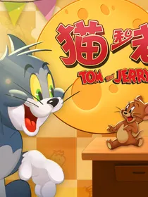 猫鼠之路