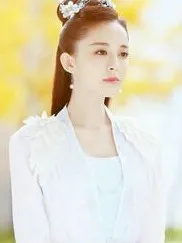 陈情令之姑姑——d081
